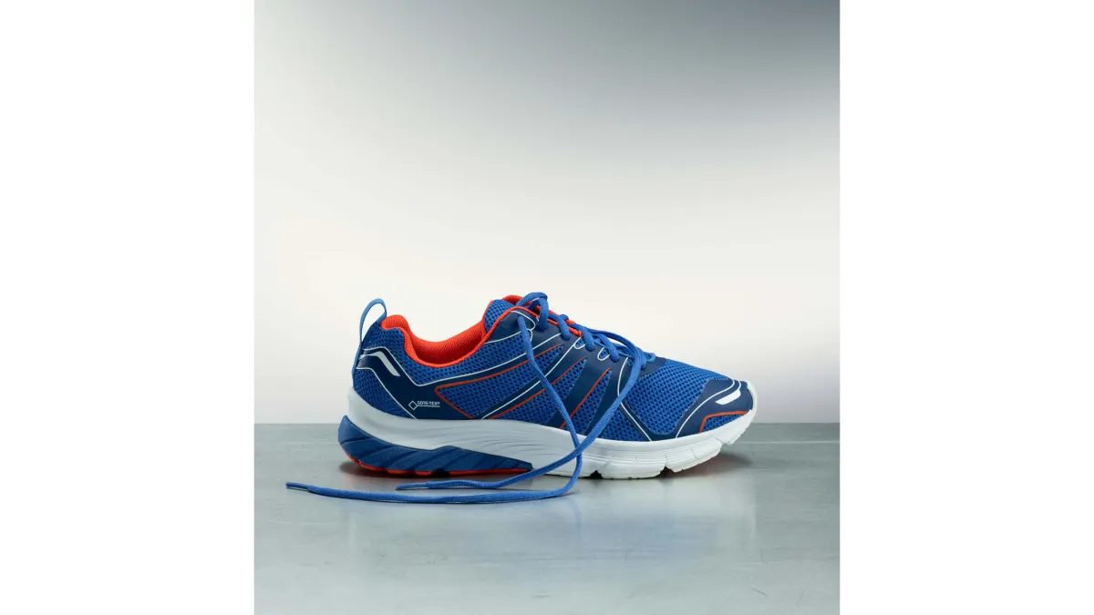 2017 GORE-TEX Invisible Fit 鞋履